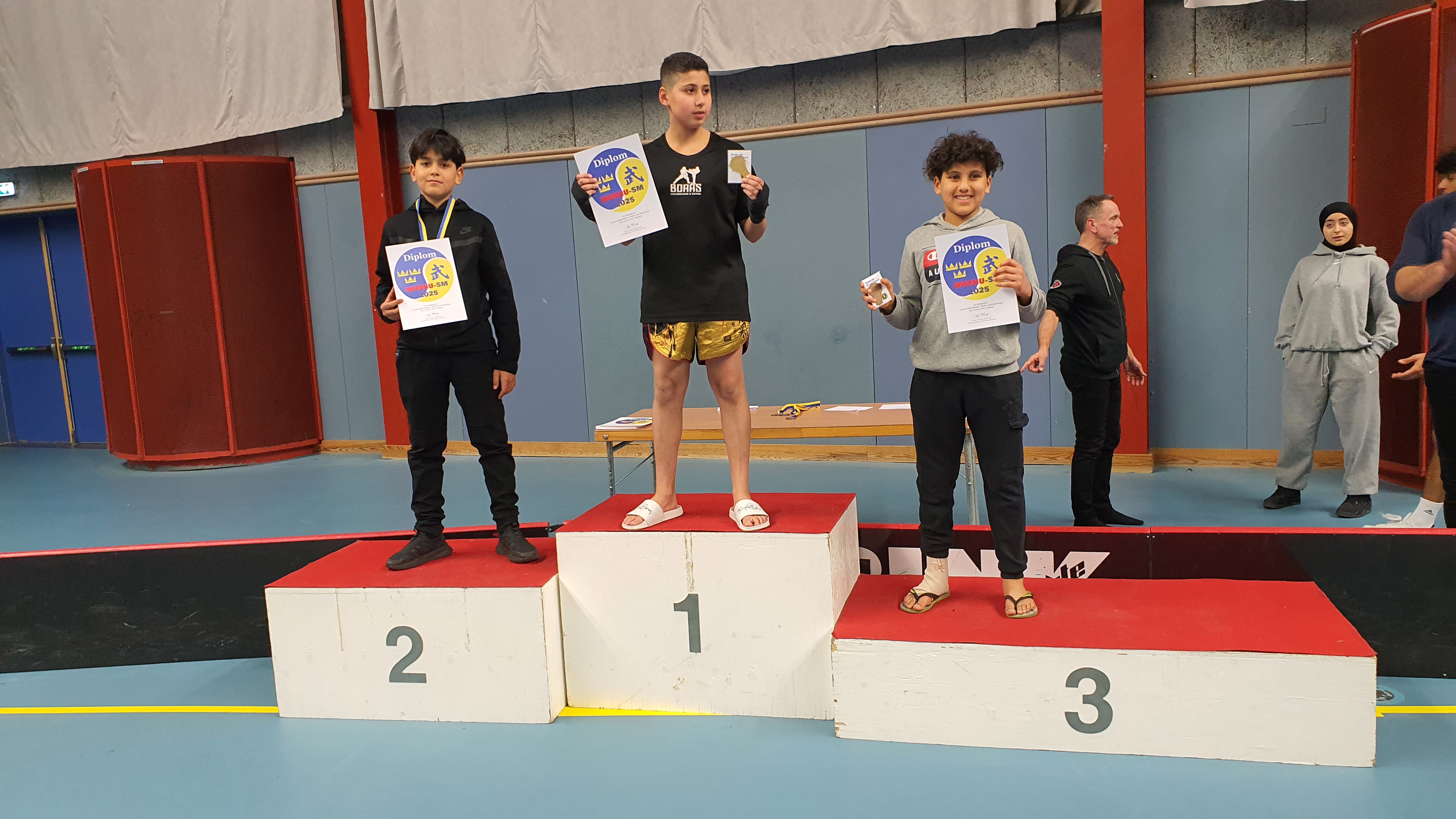 Aktuell händelse eller tävling från Westeras Tai-Nui Club i Västerås - Wushu Sanda, MMA eller Submission Wrestling